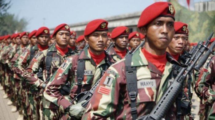 Tugas dan fungsi Kopassus